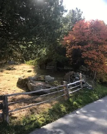 Apartament Edelweiss Grächen