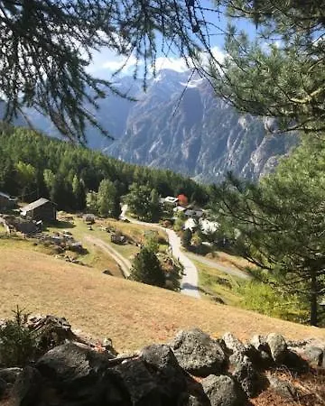 Edelweiss Grächen