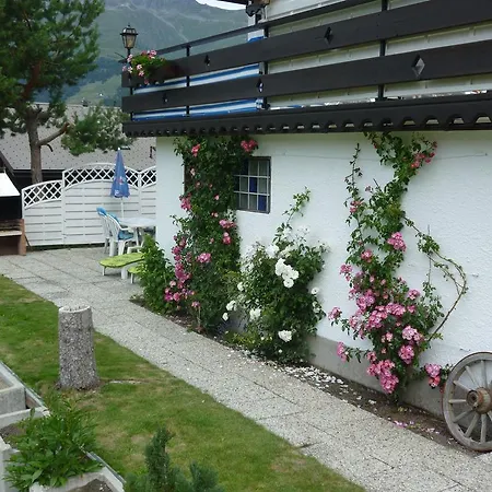 Edelweiss * Grachen